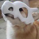 在掘金的个人资料头像