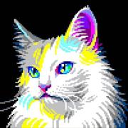 Saw的个人资料头像