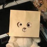 用户974692528223头像