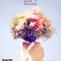 工程咨询监理管理头像