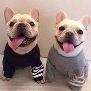 Vamp的个人资料头像