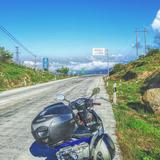 留得尘埃好逐风头像