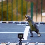 uonxhou的个人资料头像