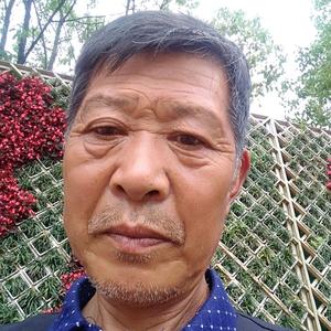 老农民姓何汉源头像