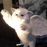神在头像
