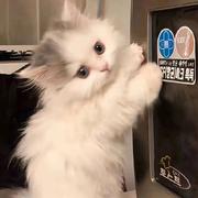 TMAH的个人资料头像