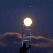 缘诀的个人资料头像