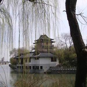 司立法头像