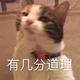 欧尚天0头像