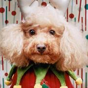 hahahei的个人资料头像