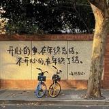 一心一意小半仙头像