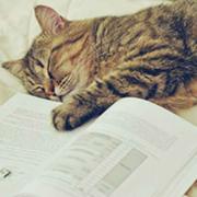 听风者就是我的个人资料头像