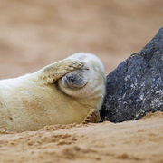 大老赖不赖的个人资料头像