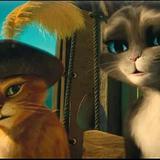猫映电影头像