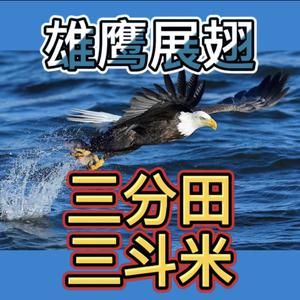 三分田三斗米头像