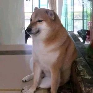 辣条解说我的世界头像