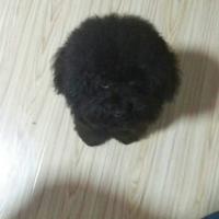 尊贵的日产车主哈哈头像