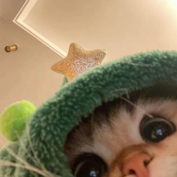 朱大肠动画头像