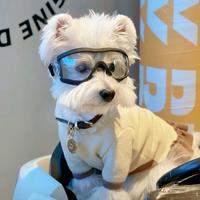 正义凛然羊肉串头像