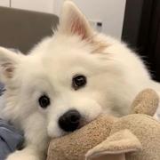 dongSon_的个人资料头像