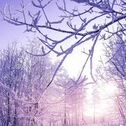 lihui的个人资料头像