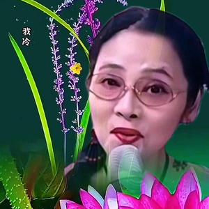 玲玲5D3n头像