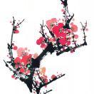 光谷程序员的个人资料头像