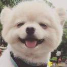 狗熊岭的个人资料头像