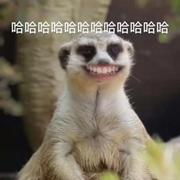 廖菌的个人资料头像