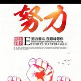 随风一起头像