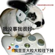 Gamer向晚的个人资料头像