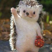 码农的CV大法的个人资料头像