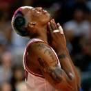 RODMAN的个人资料头像