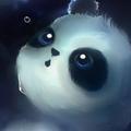 zlm白玫瑰头像
