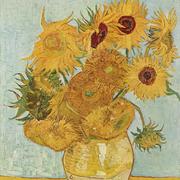 Noodle的个人资料头像