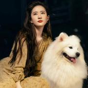 蓝莓葡萄的个人资料头像