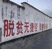 码外狂徒张三的个人资料头像