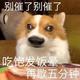 科技柚子说 · 驱逐舰05车主·车龄1年头像