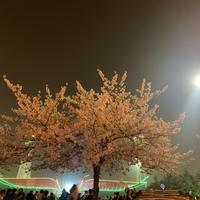 DD永远在一起头像