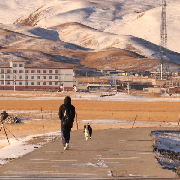 Xu木木的旅拍日记头像