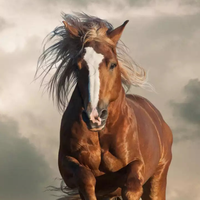 马踏飞雁718头像