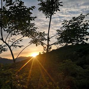 孙风孙水孙财神3g7H头像
