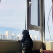 __Div的个人资料头像