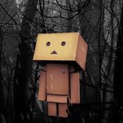 洛河911的个人资料头像