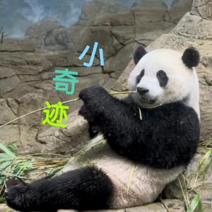 Panda宝贝7y6H头像