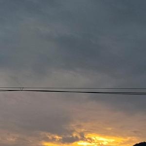 啊话都不说头像