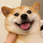 每天多学一点的个人资料头像