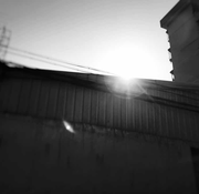 天生地夢的个人资料头像