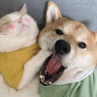 用户2356188434334头像