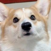 易术丶头像